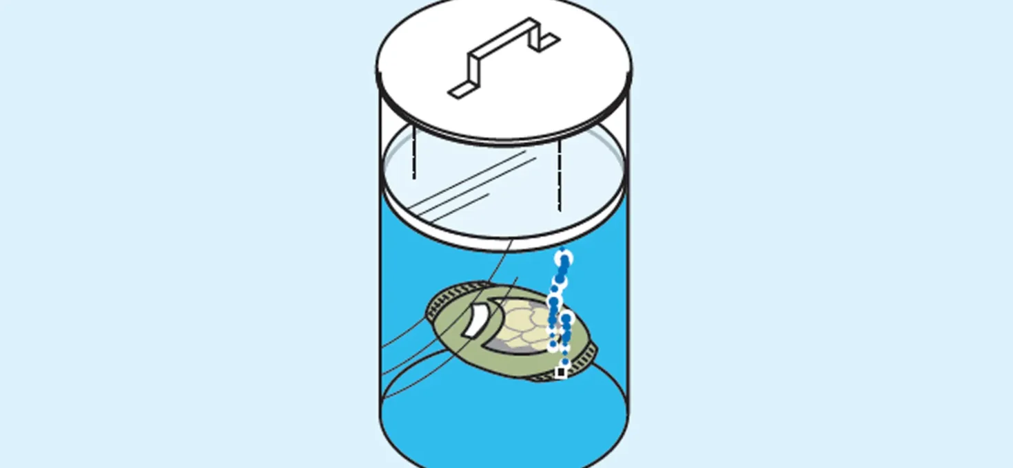 Bubble Test – Used In Conjunction, With A Cylinder Leak Down Test