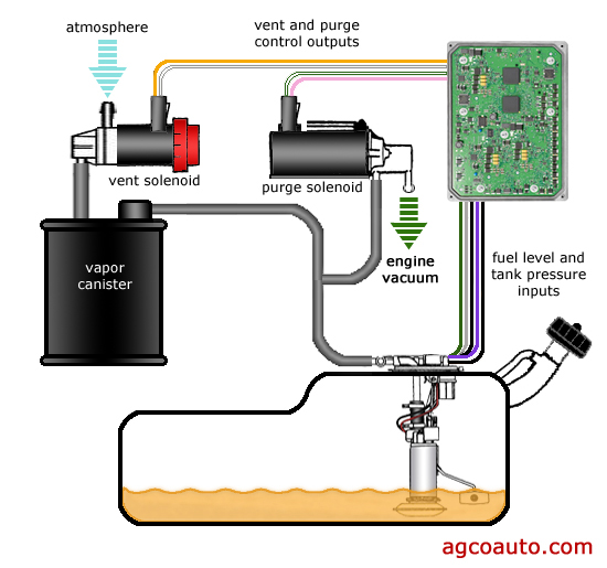 How the evaporative emissions system works